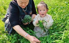 99久久久无码国产精品免费人妻